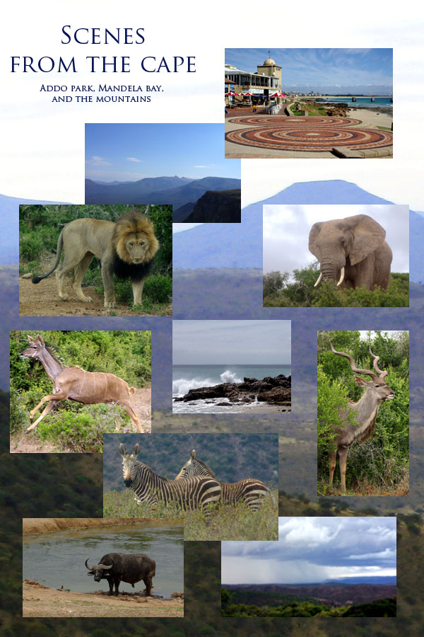 Cape Photos