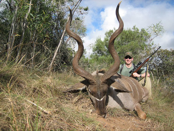 kudu