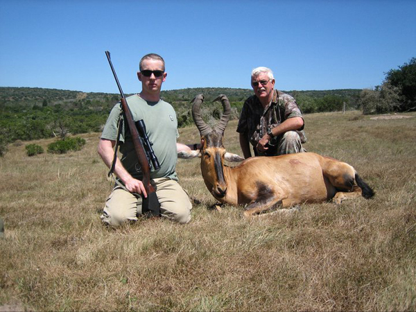 red hartebeest