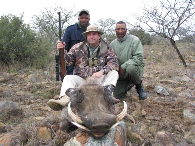 warthog